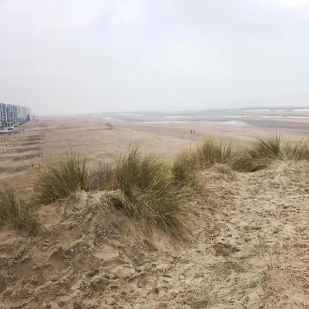 In St-idesbald Near Sea Beach, Cleaning Included * Koksijde